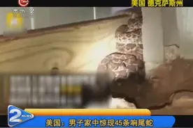 美国：家里咋成了“蛇窝”？男子家中竟然出现45条响尾蛇？视频封面
