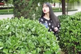 晚上好，朋友圈里刚刚听到的一首情歌，真好听！你喜欢听吗？