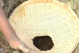 钓鱼：想要大鱼自动上门？有这方法就够了