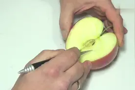 苹果雕刻动物，怎么用苹果简单雕刻出蝴蝶技巧，轻松学习视频封面