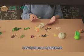 牢记仓鼠爱吃的食物和不能吃的食物视频封面