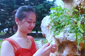 一首《你说你说你说》，太搞笑了，18块腹肌都笑痛了