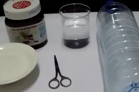 塑料瓶剪成捕苍蝇神器，讨厌苍蝇的人绝对值得一试！这方法真好！