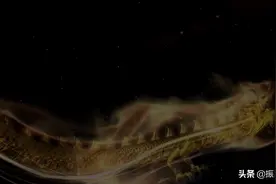 中铁国投与印尼迈斯海洋集团在蓉签约