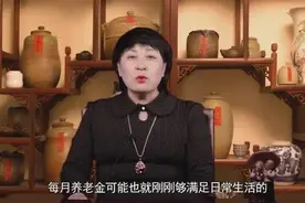 中国大妈说: 养老金因双轨制差3倍, 地域之间差距咋也这么大?视频封面
