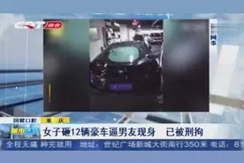 一夜之间车库内12辆豪车全被砸，民警展开调查，背后原因让人无语视频封面