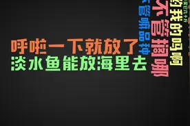 句句犀利！天津大哥吐槽不文明养犬！天津话太逗了哈哈哈视频封面