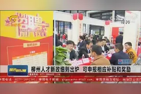 柳州人才新政细则出炉  可申报相应补贴和奖励视频封面