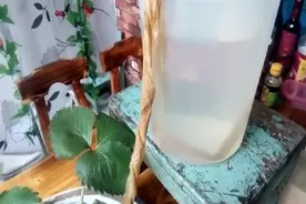 出趟远门，家里的花花草草怎么办？教你二招