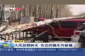 长春市“大风模式”开启，瞬间风力将达到八级，安全隐患要注意