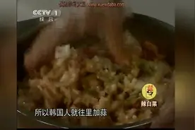辣白菜-阿西吧，韩国棒子的最爱