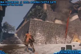 只狼 影子探索所有葫芦种子的位置游戏攻略14