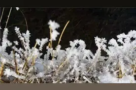 如果你的身份证号是6531开头的喀什人，你必须点开看看！图片