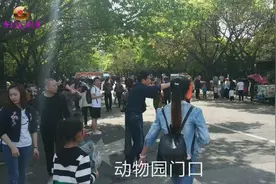 四川成都：带大家看成都动物园，来看的人山人海视频封面