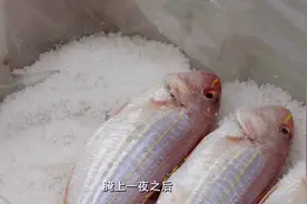 舌尖上的美食！阳江著名一夜埕原来是这样腌制的，长见识了！