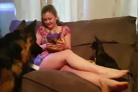 狗狗太贪吃了，盒子都被它们咬烂，小姐姐表情好无奈视频封面