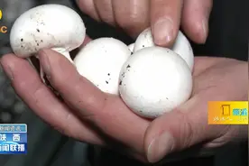 汉中、渭南经济增长开门红！生产总值分别增长8.7%和7.8%视频封面