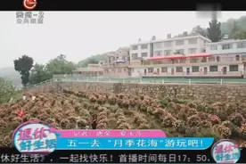 小长假正式开始，出去玩神清气爽，五一去“月季花海”游玩吧！视频封面