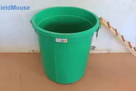 牛人教你自制简易捕鼠器，简单粗暴，来一只抓一个