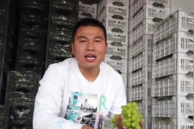 批发市场水果价格比产地都便宜，价格倒挂？带大家看看内幕视频封面