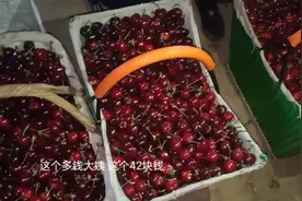 樱桃产地看价格，产地收购价与市场零售价竟差这么多，长见识了视频封面