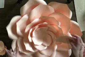 纸花教程：用卡纸制作玛德琳花视频封面