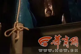 专机空运10头海豚入境 检疫合格后将与西安市民见面图片