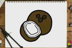 简单易学的椰子简笔画步骤图，轻松变身绘画达人