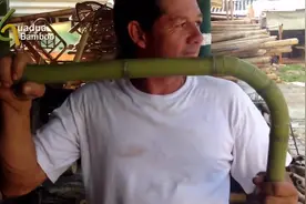 一个简单的小技巧，轻松将竹子弯曲90度，看完你也可以