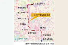 昆明地铁1号线西北延长线3站点即将开工 施工范围内绿化苗木近期迁移图片