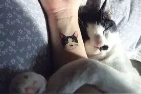 纹身 | 喂，是你的喵星人图片