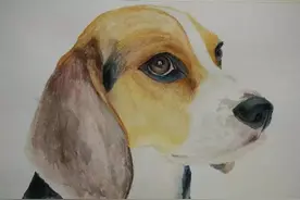 绘画素描色彩的四种方法步骤图片