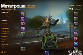 毅力大神！《魔兽世界》全成就玩家出现图片