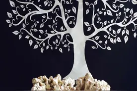 吾家有缸初养成图片