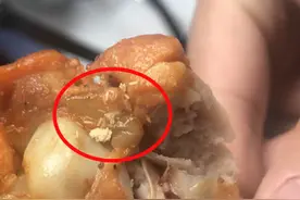 肯德基外带食品发现苍蝇卵？食药监回应：无法定责图片