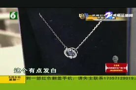 男子苏宁买施华洛世奇项链，却发现不对劲！客服：没法说是假的？