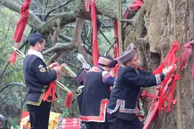 湖南农村最古老的传统习俗，认百年大树为亲，保佑自己一切平安