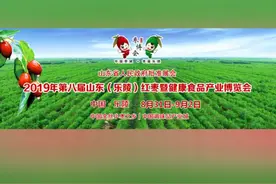 盛情邀请各位领导来山东乐陵做客！视频封面