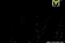 '歌曲《金达莱花》表达了对逝去的亲友们的怀念！对战争的反对