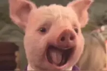 收藏有风险……😱😨😭视频封面