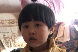 金宝教你学动物叫声，公鸡，母鸡，狼，海豚，还有猫头鹰