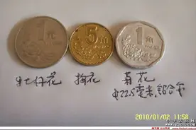 人民币上面的花卉图片