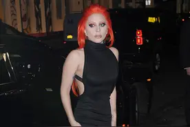 不再雷的LadyGaga   用惊“艳”征服了全世界图片