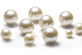 辨别六种名贵中药材真伪 你能辨别名贵中药吗？图片
