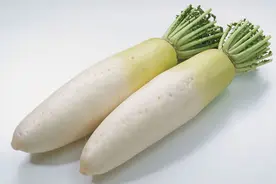 胡萝卜，真的不是萝卜！图片