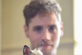 可以轻易放进口袋的小萌兽   超级迷你狗狗图片