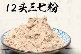 三七粉对血液和造血系统的作用图片