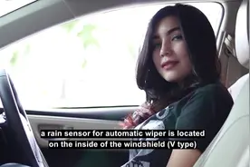 国产版新卡罗拉和海外版有何不同？