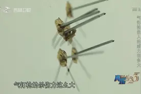 气钉枪的巨大伤人威力，工人们平时在施工时一定要规范使用