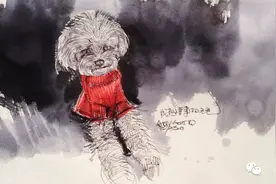 插画|触动心底的宠物插画——Addy的宠物世界（6）图片